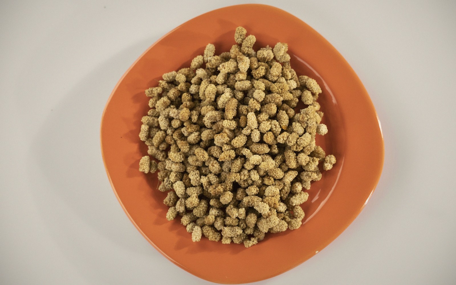 Wet, Dry or Both? The Food Question
